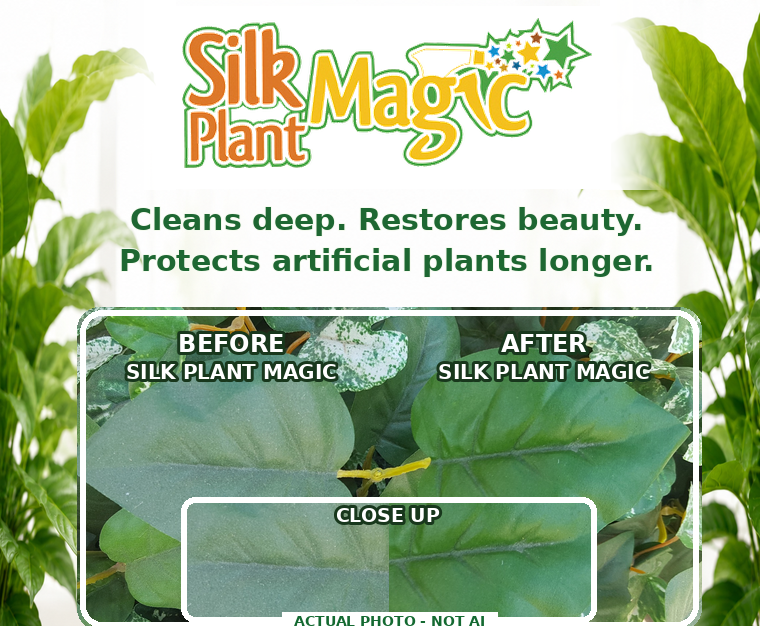 Silk Plant Magic cleaner, before and after